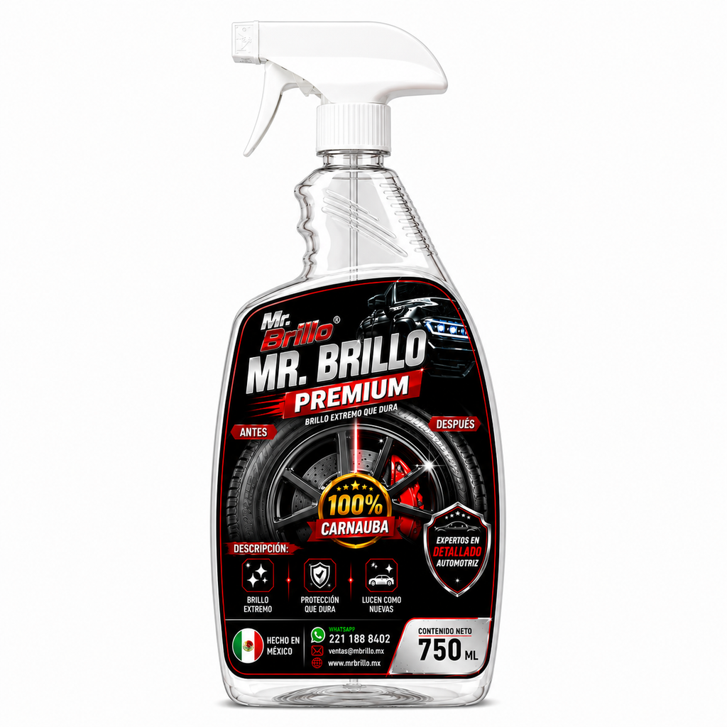 Mr. Brillo